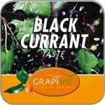 GrapiVit Black Currant